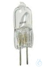 Halogen Lamp 6V/20W